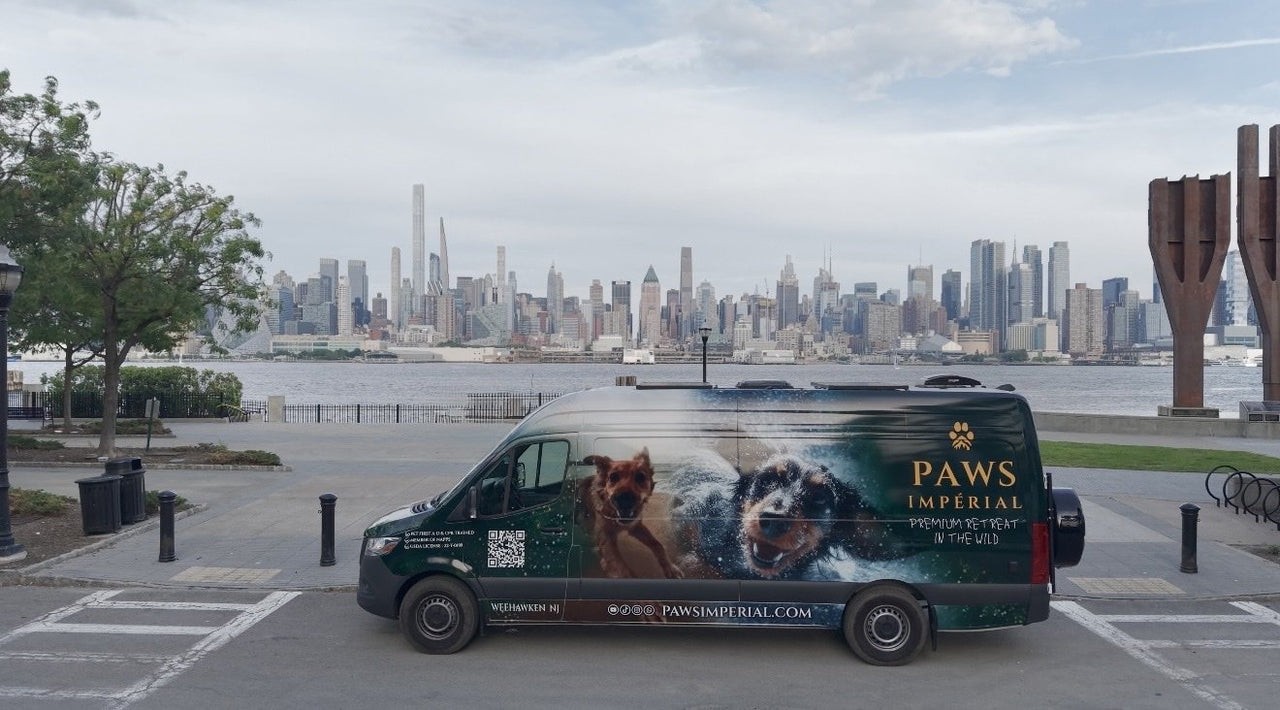 Paws Impérial shuttle
