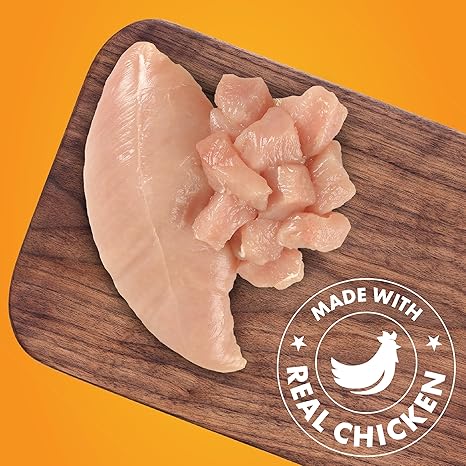 Chicken Jerky Dog Treats, Made with 100% Real Chicken Breast, 16 Ounces, Healthy