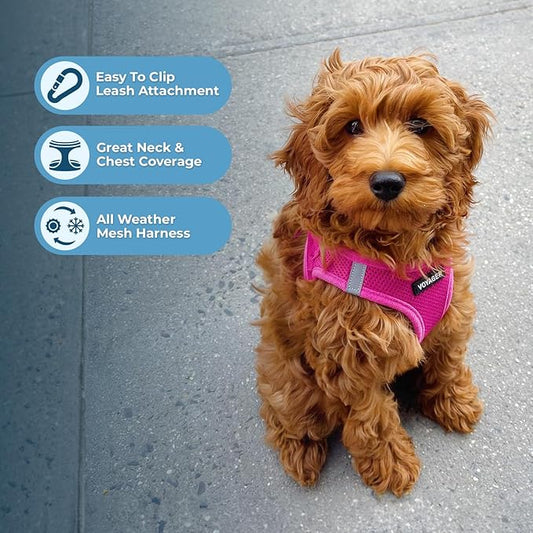 All-weather Mesh Reflective Harness without Tension for Dogs and Cats