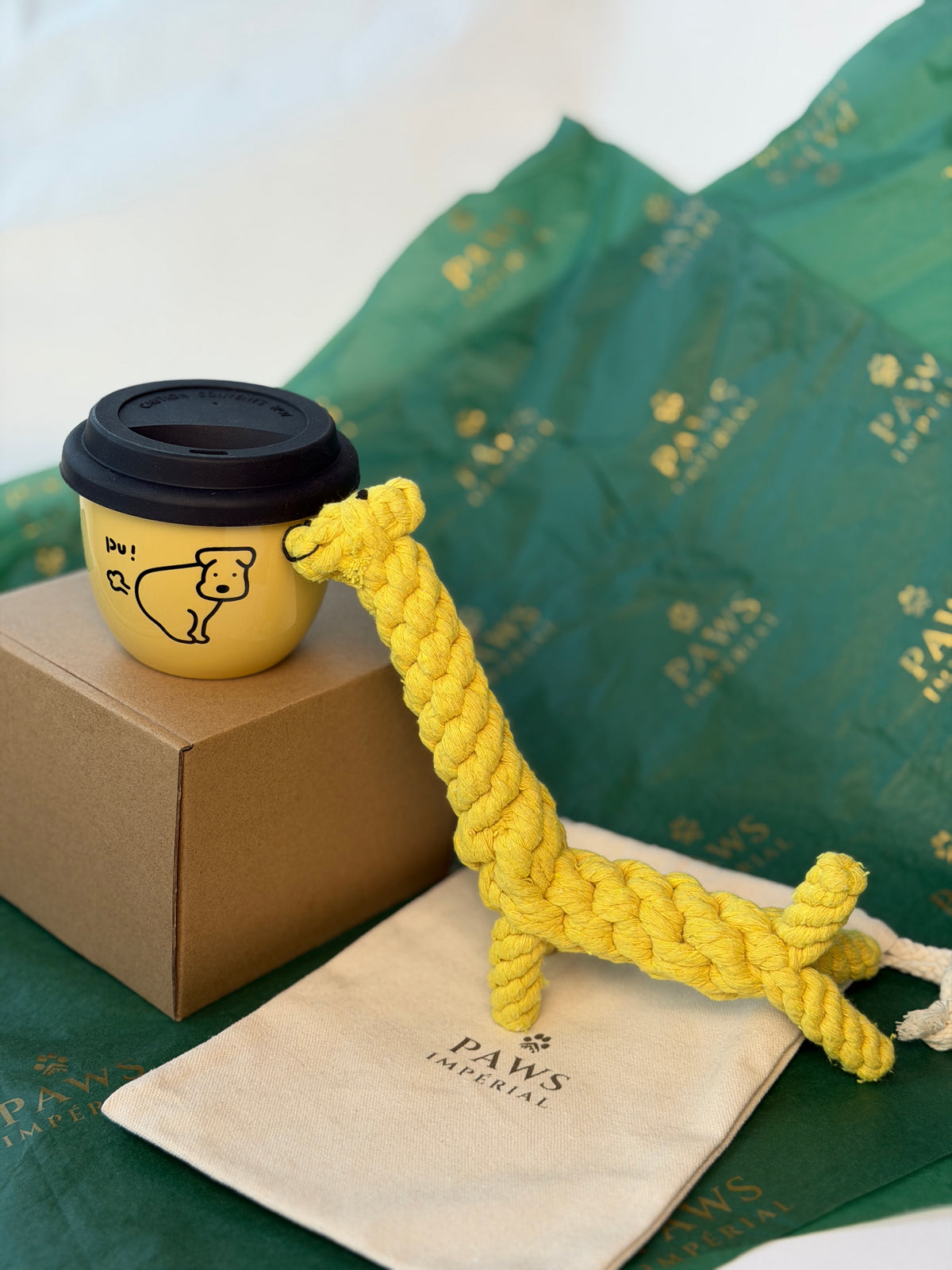 Black & Yellow Box — photo 4