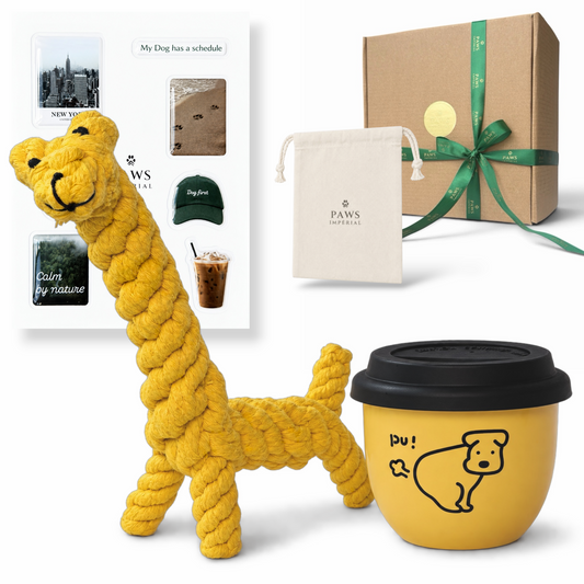 Black & Yellow Box by Paws Impérial — what is inside the gift box