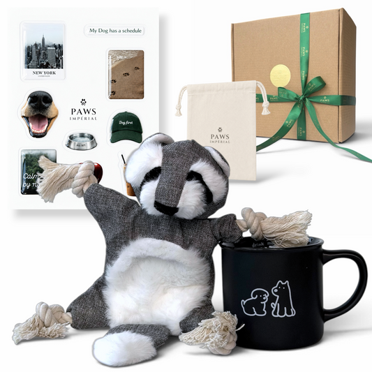 Raccoon Chase Box by Paws Impérial — what is inside the gift box