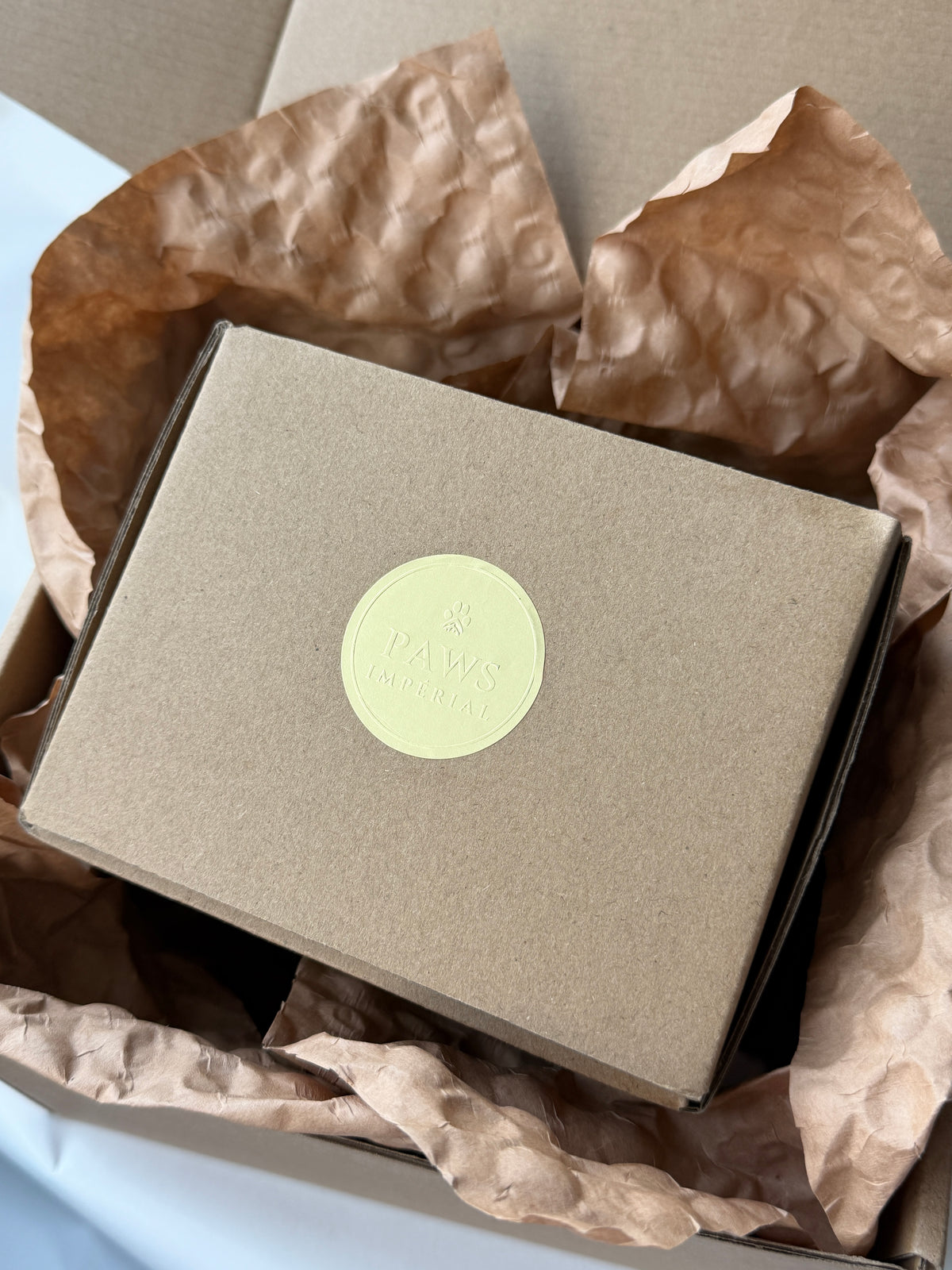 Squirrel Social Box — photo 5