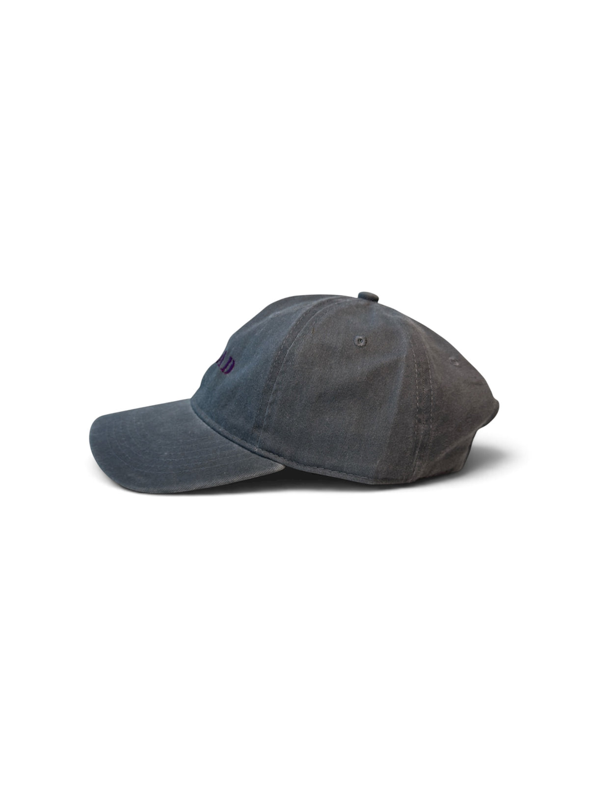 DOG DAD Washed Cotton Cap — Grey and Purple — photo 4