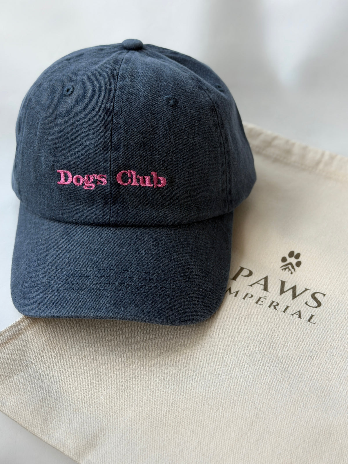 Dog's Club Washed Cotton Cap — Blue and Pink — photo 1