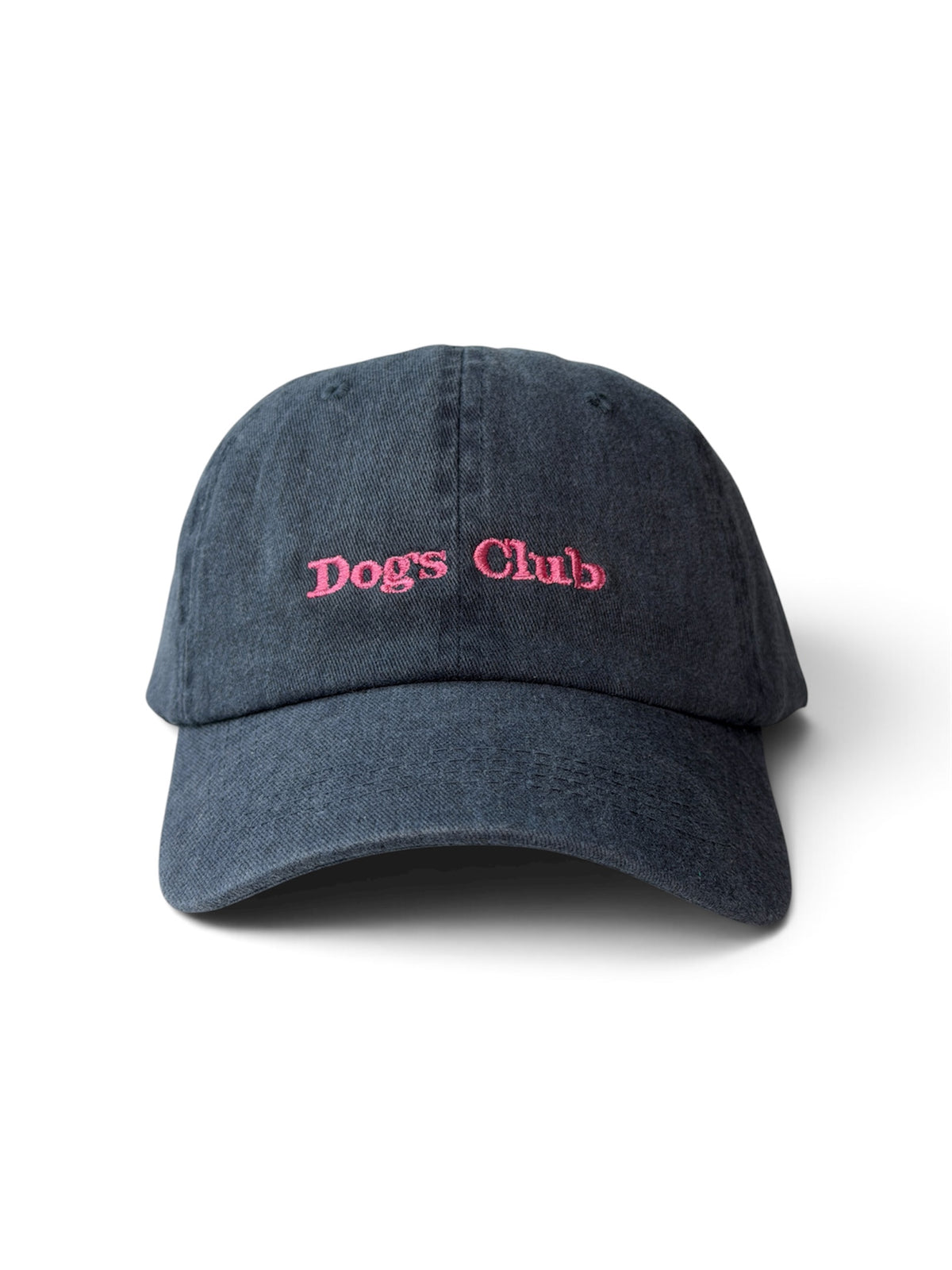 Dog's Club Washed Cotton Cap — Blue and Pink — photo 3