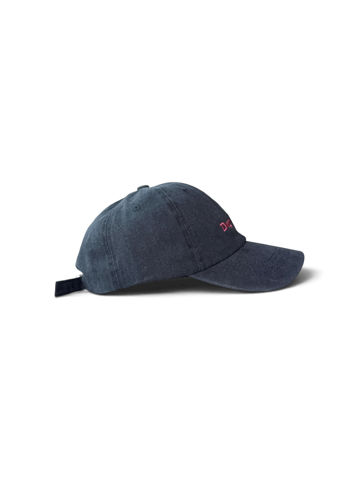 Dog's Club Washed Cotton Cap — Blue and Pink — photo 4