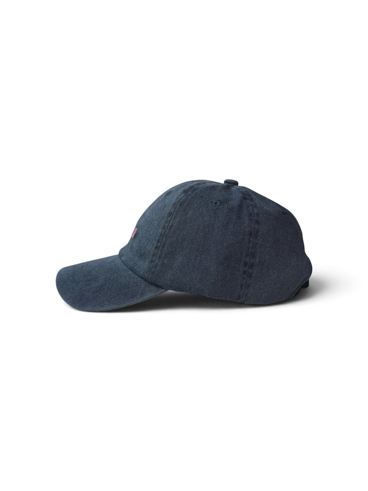 Dog's Club Washed Cotton Cap — Blue and Pink — photo 5