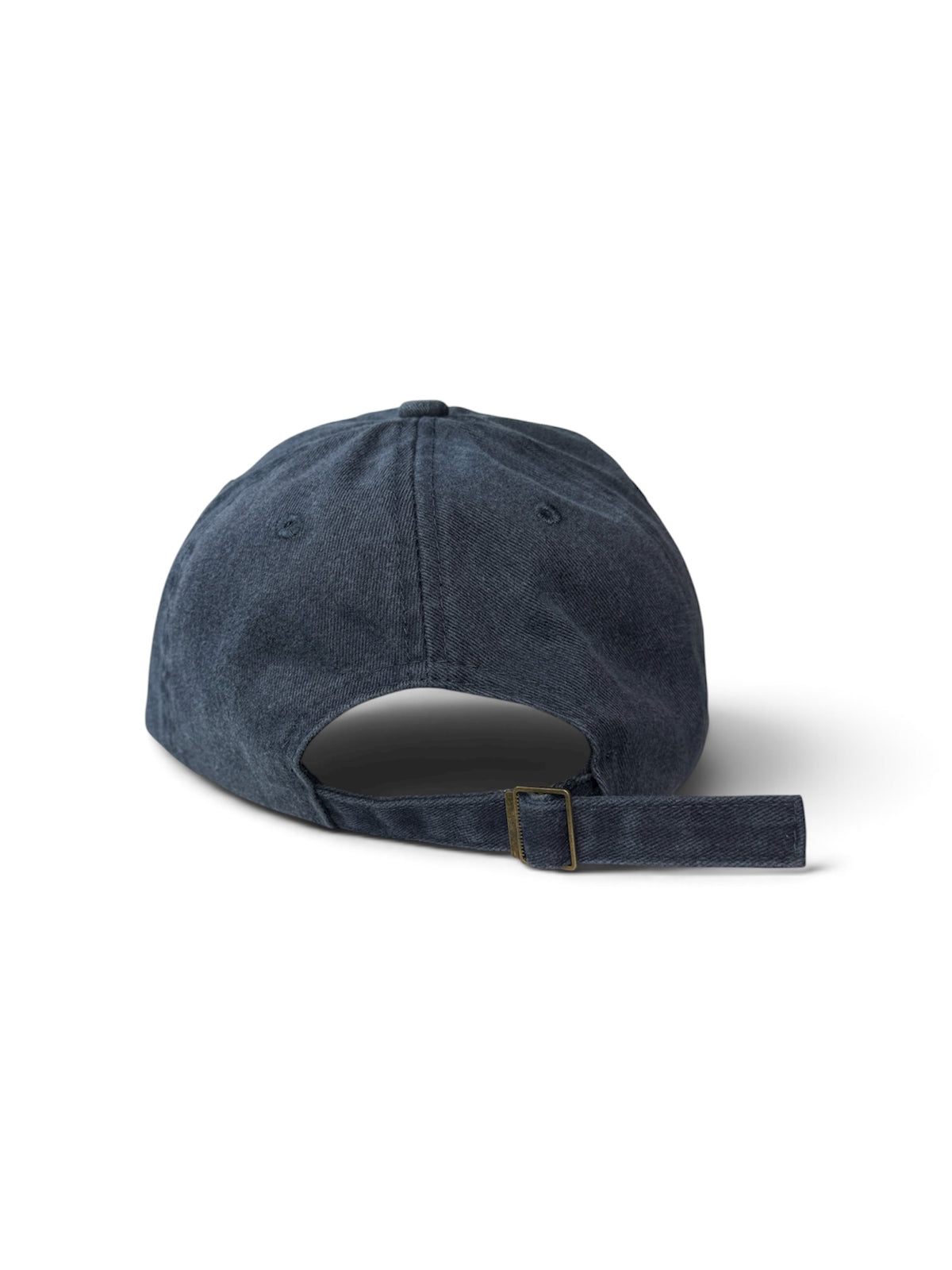 Dog's Club Washed Cotton Cap — Blue and Pink — photo 6