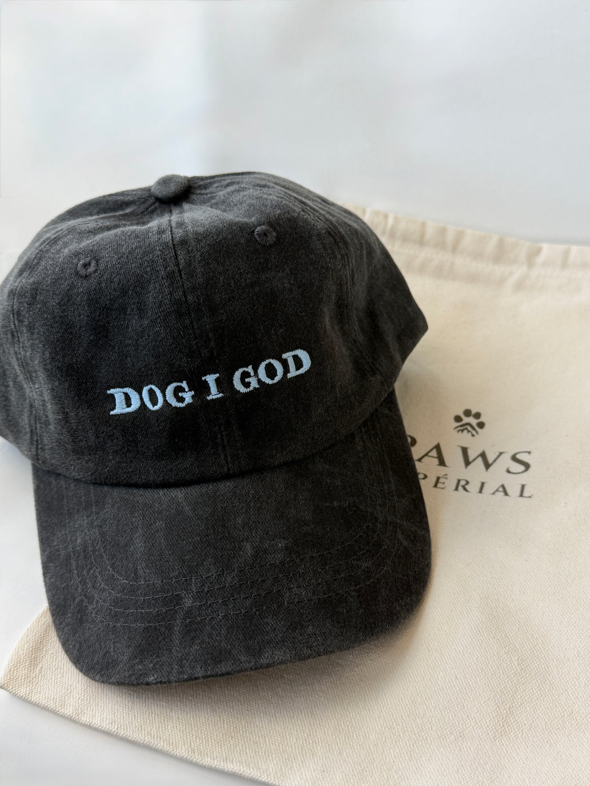 DOGGOD Washed Cotton Cap — Black and Blue — photo 1
