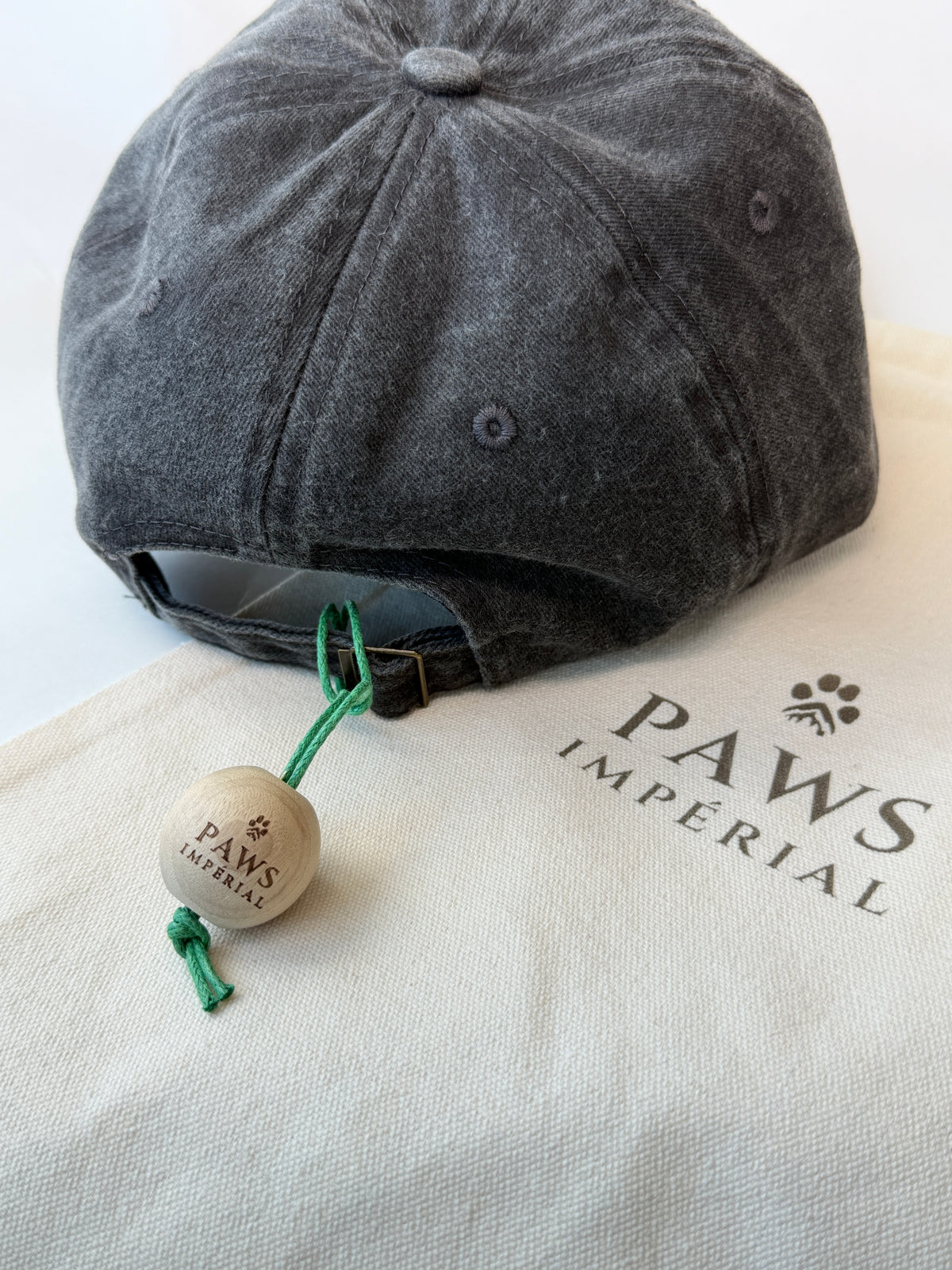 DOGGOD Washed Cotton Cap — Black and Blue — photo 2