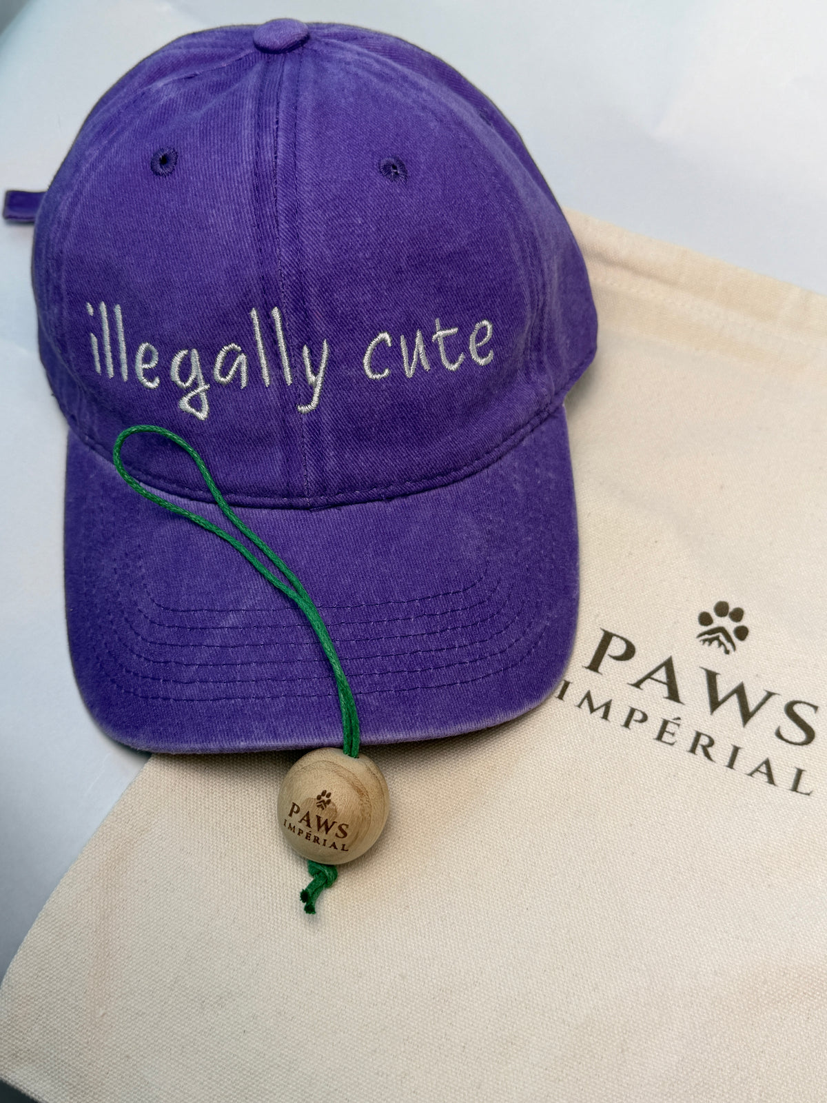 illegally cute Washed Cotton Cap — Purple and Grey — photo 1