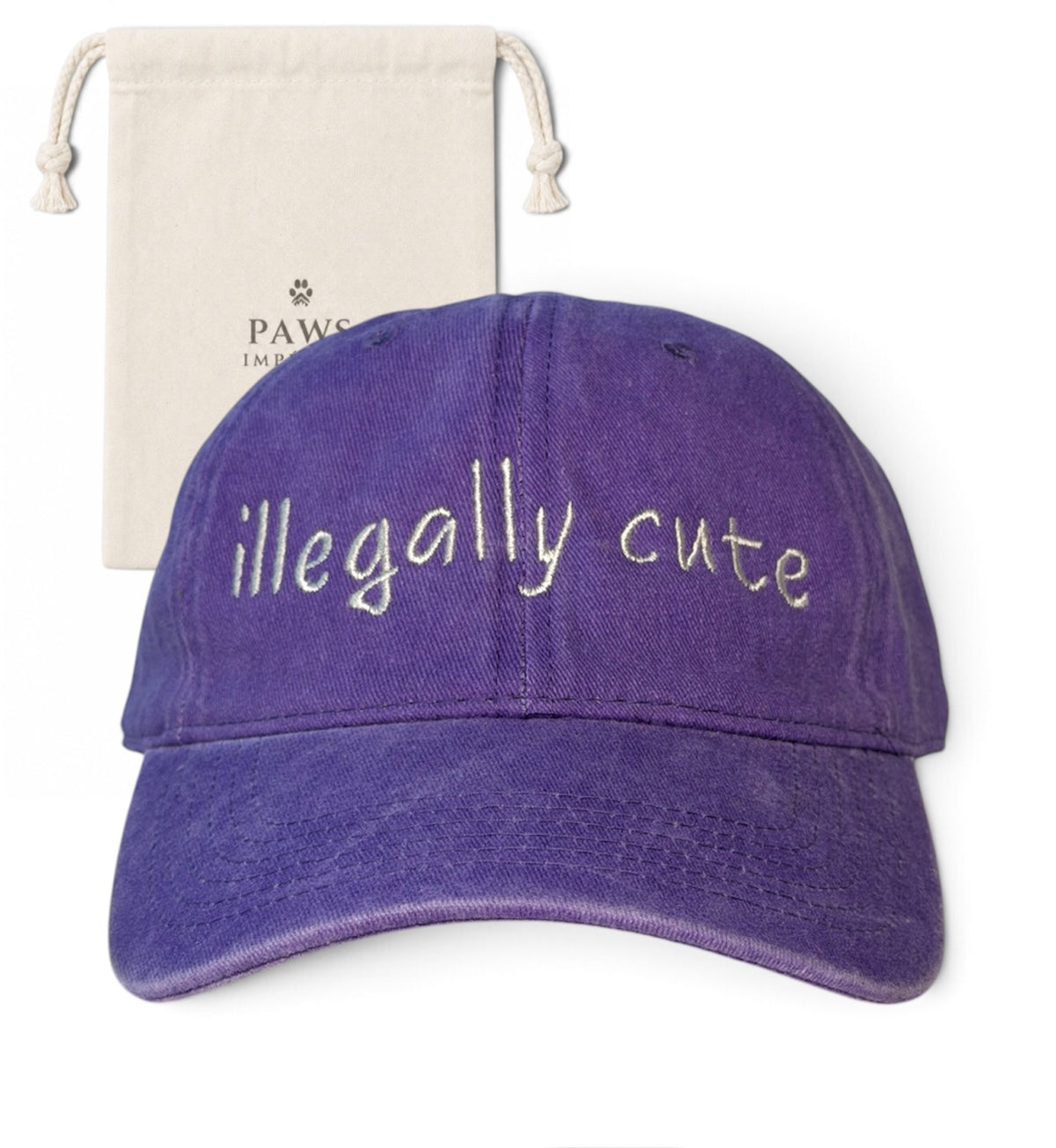 illegally cute Washed Cotton Cap — Purple and Grey by Paws Impérial