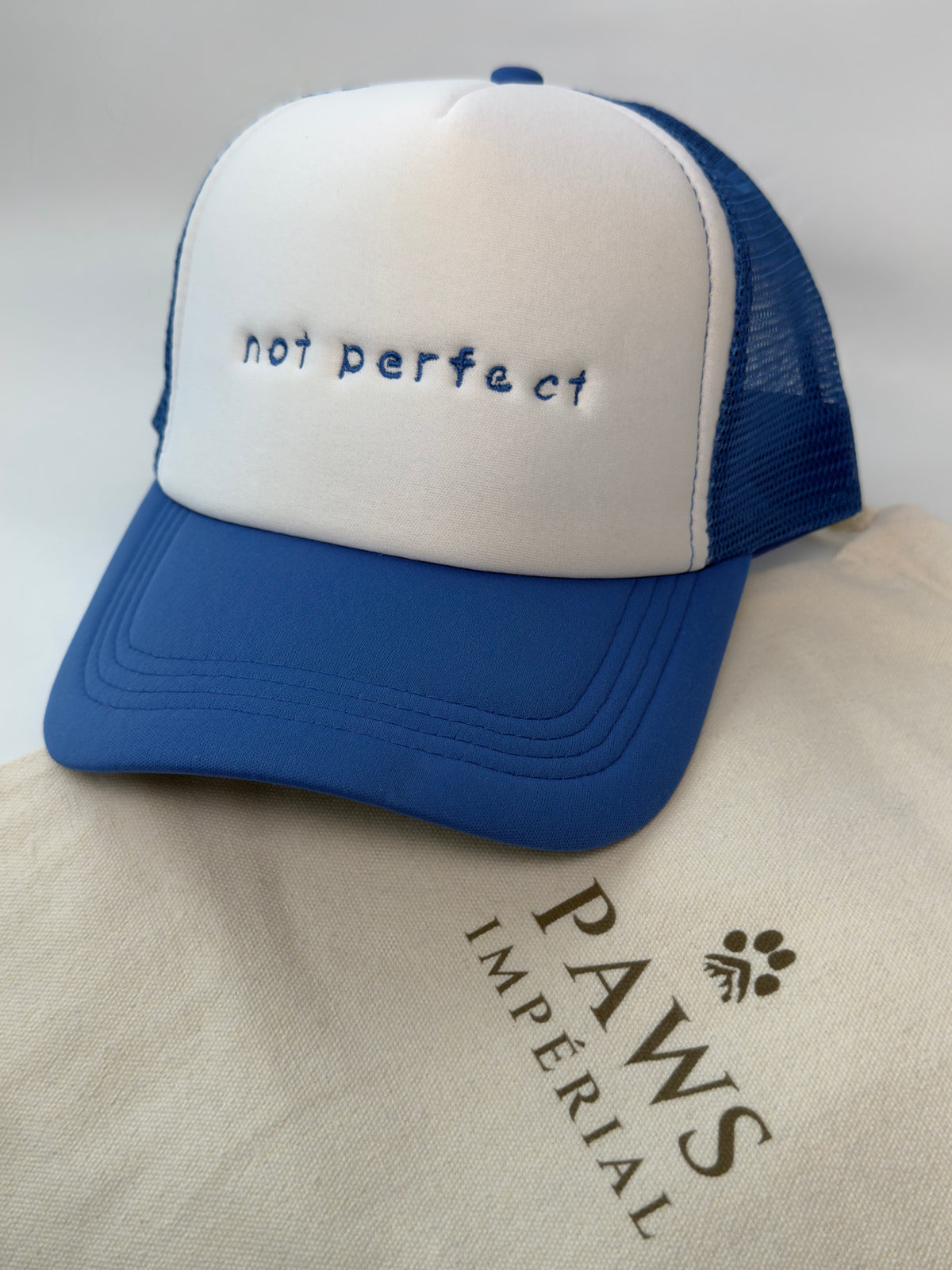 not perfect Trucker Cap — Blue and White — photo 1