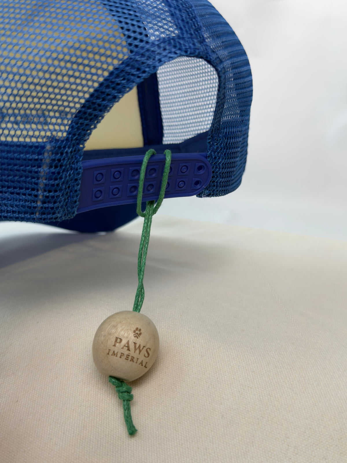 not perfect Trucker Cap — Blue and White — photo 2