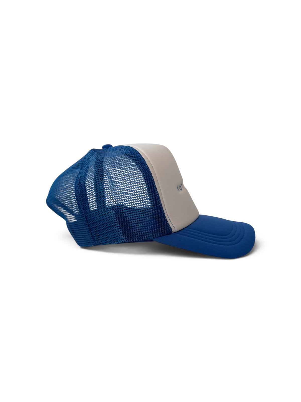 not perfect Trucker Cap — Blue and White — photo 5