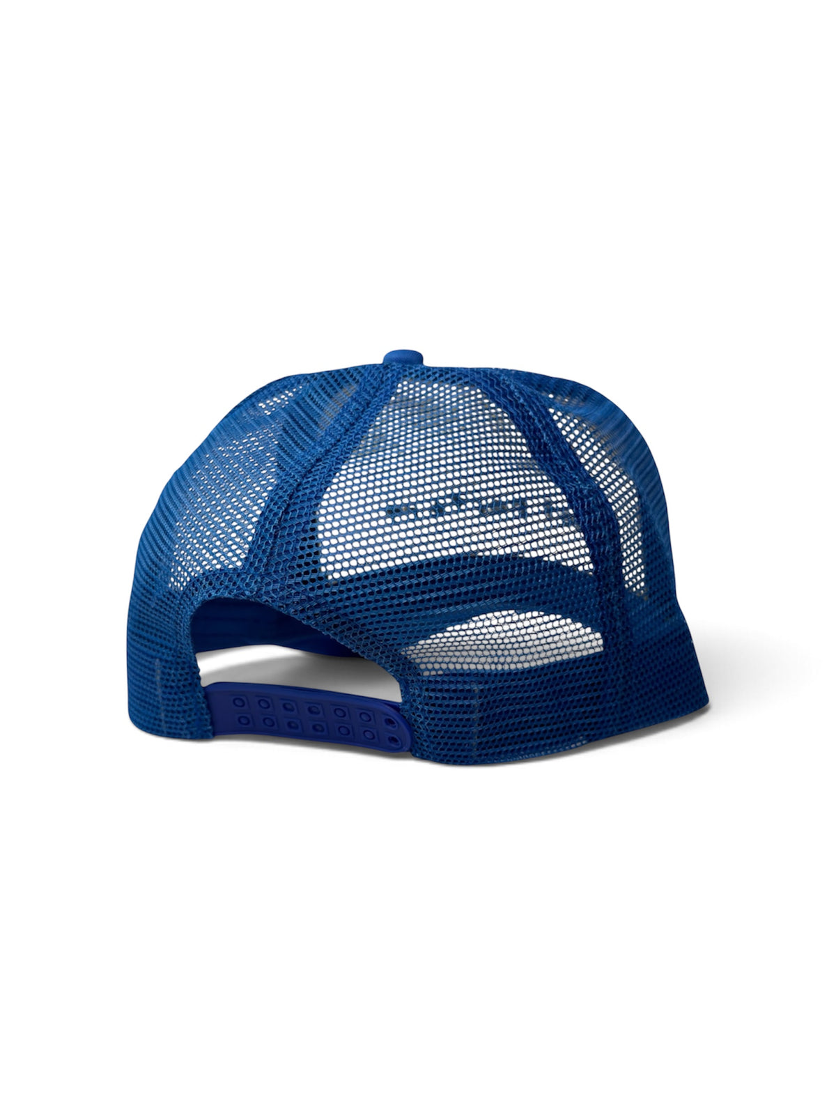 not perfect Trucker Cap — Blue and White — photo 6