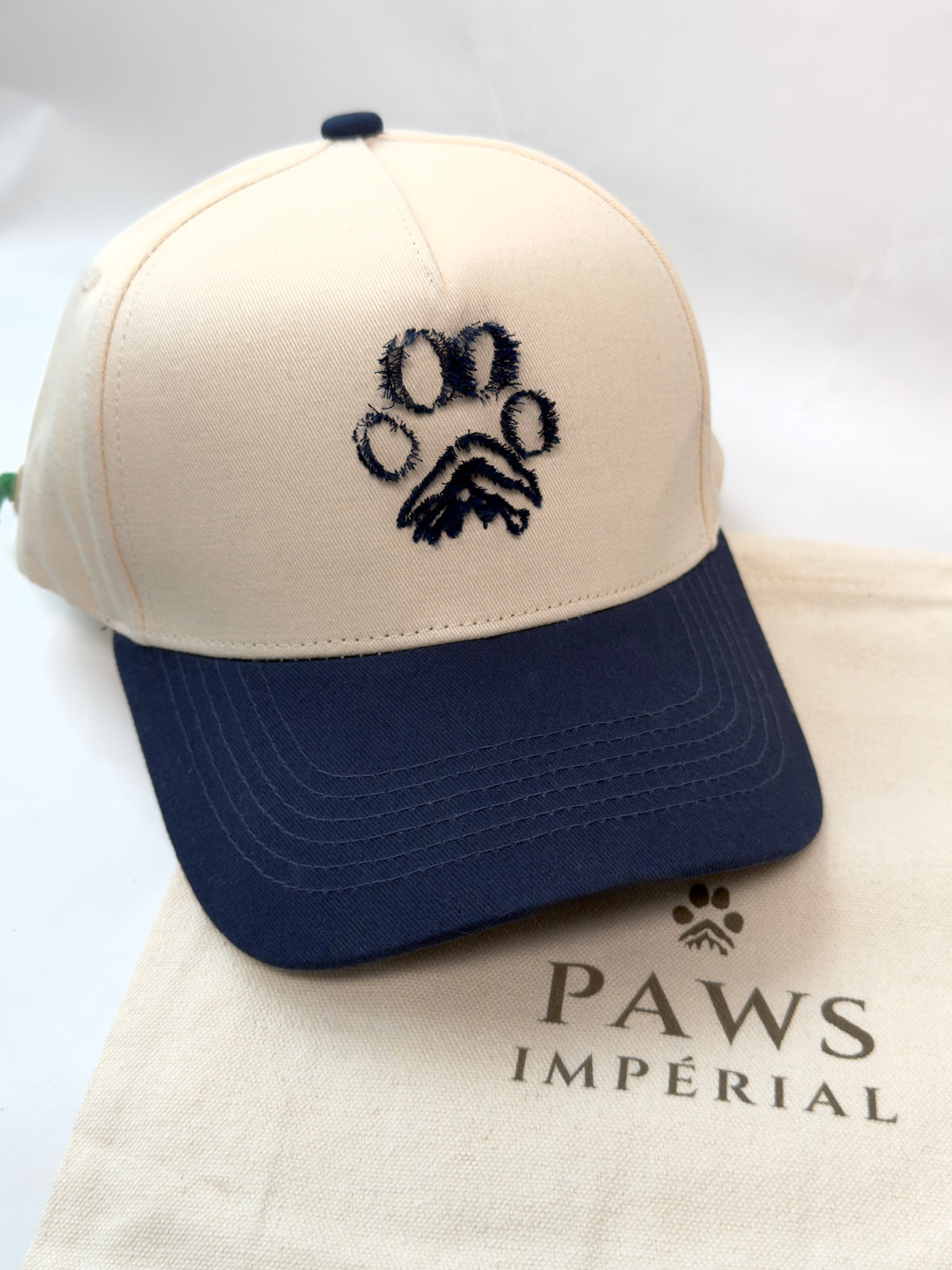 PAW Two-Tone Cotton Cap — Blue and Cream — photo 1