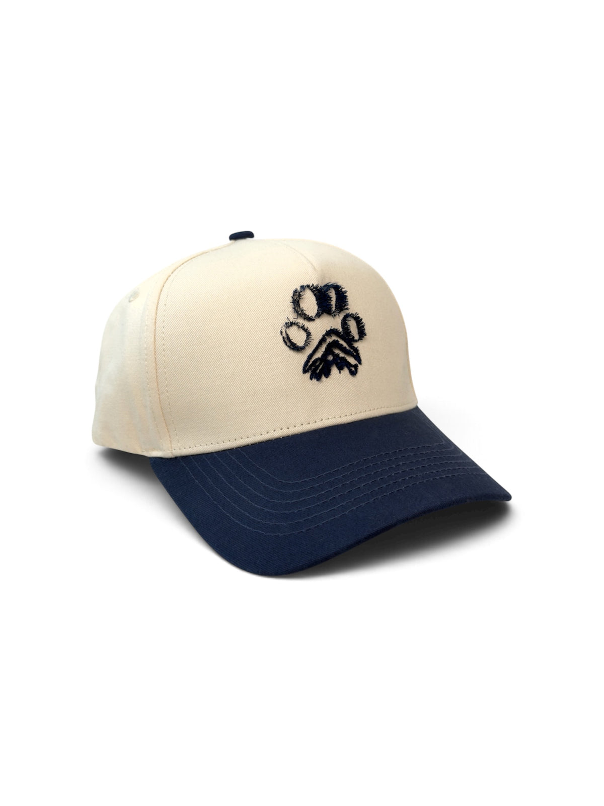 PAW Two-Tone Cotton Cap — Blue and Cream — photo 3