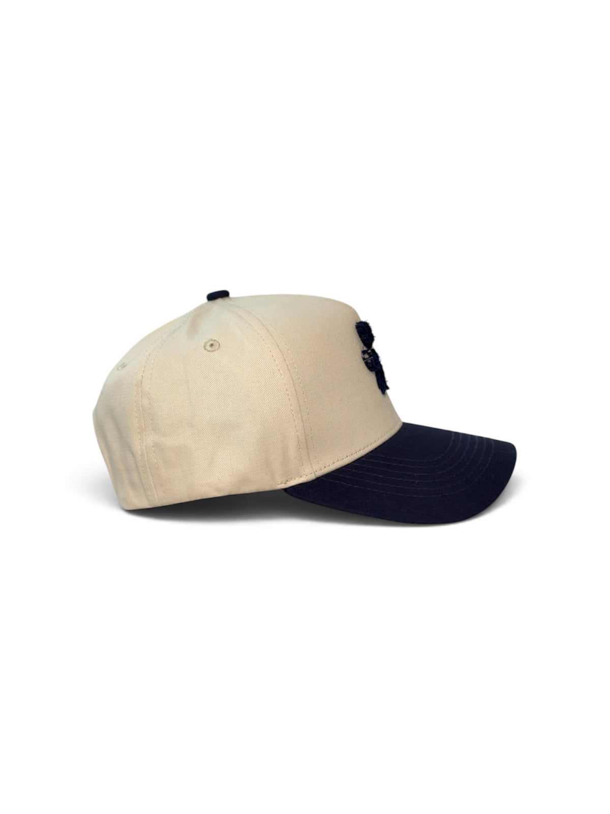 PAW Two-Tone Cotton Cap — Blue and Cream — photo 4