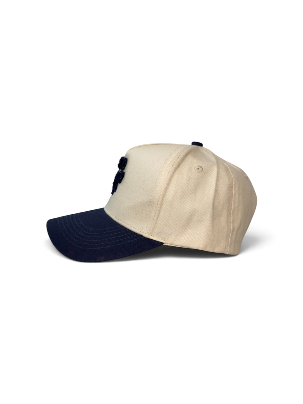 PAW Two-Tone Cotton Cap — Blue and Cream — photo 5