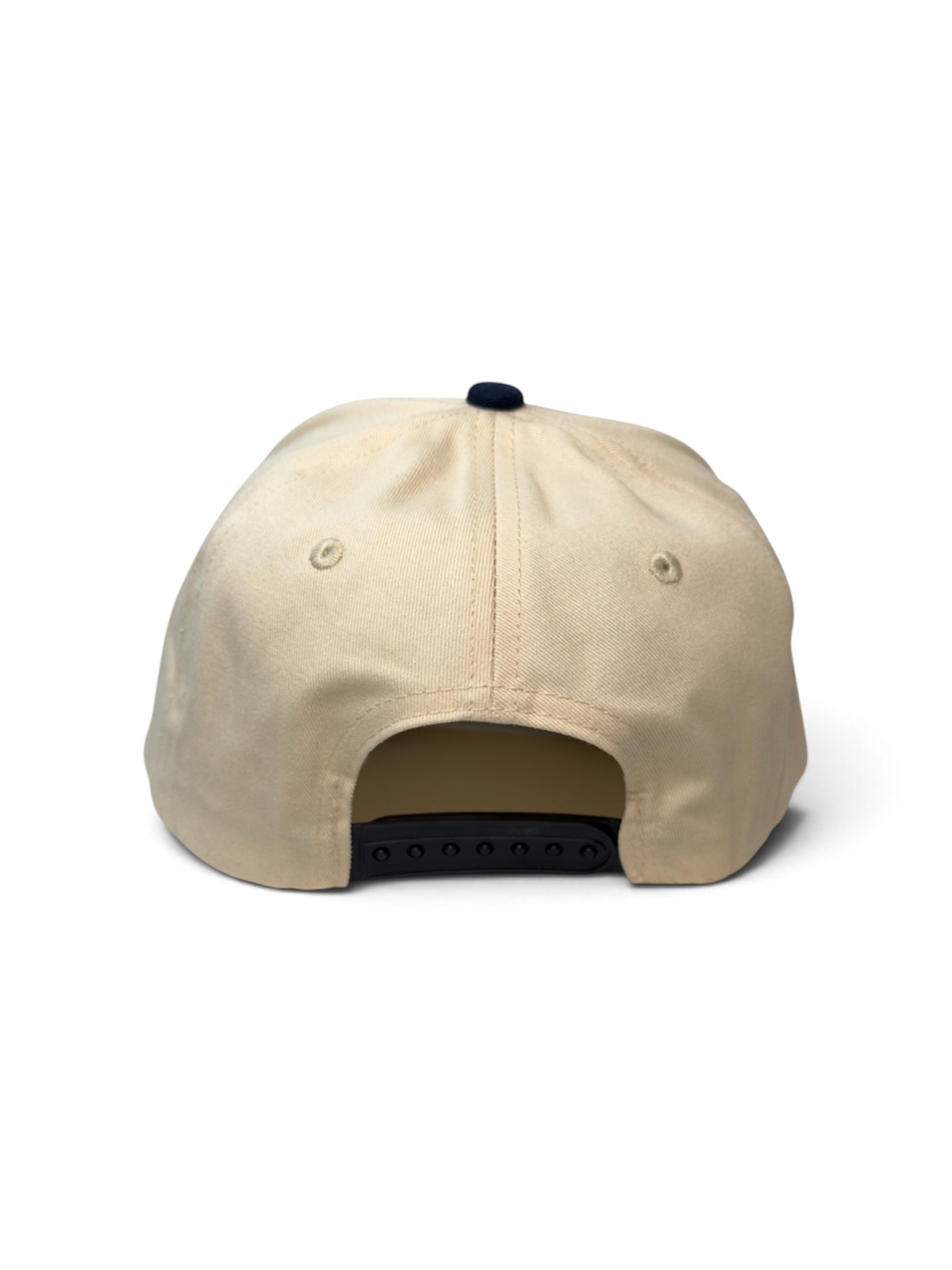 PAW Two-Tone Cotton Cap — Blue and Cream — photo 6
