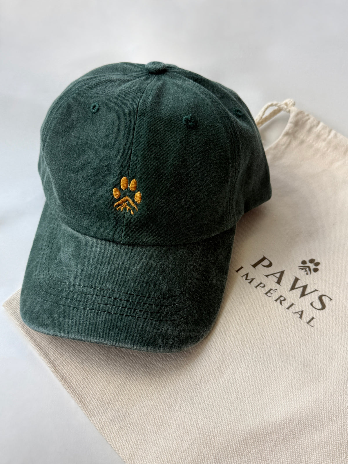 Paw Washed Cotton Cap — Green and Gold — photo 1