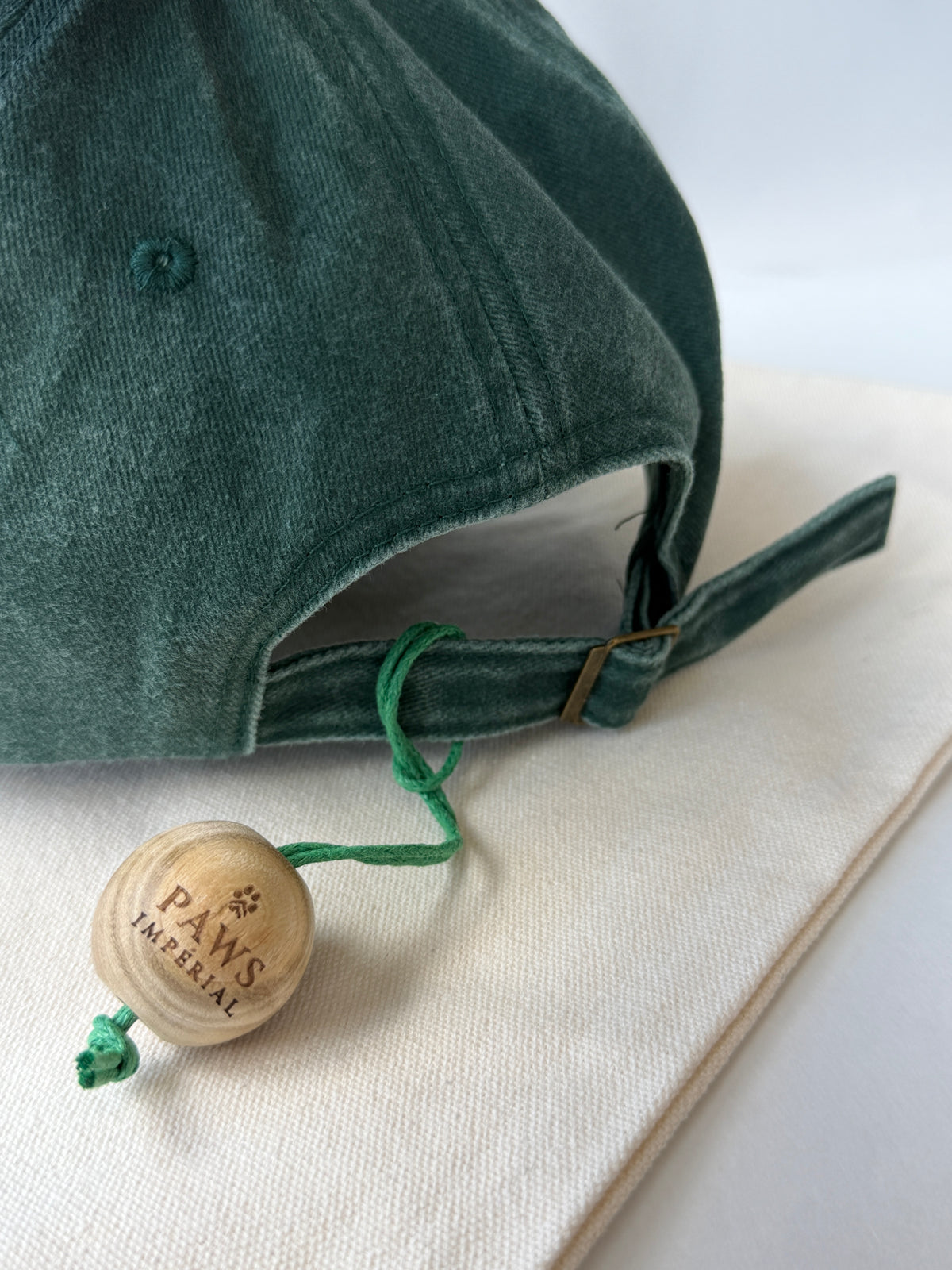 Paw Washed Cotton Cap — Green and Gold — photo 2