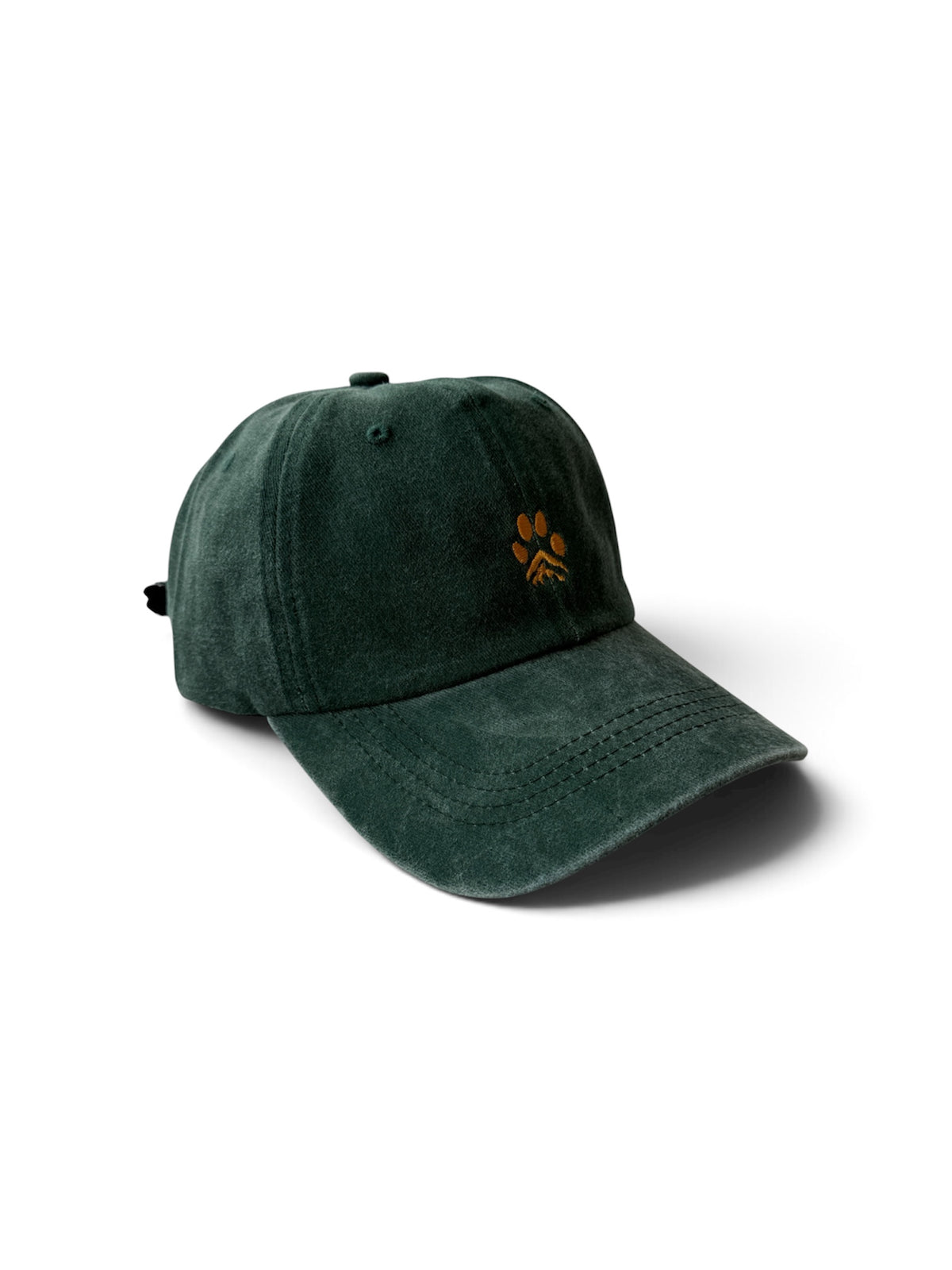 Paw Washed Cotton Cap — Green and Gold — photo 4