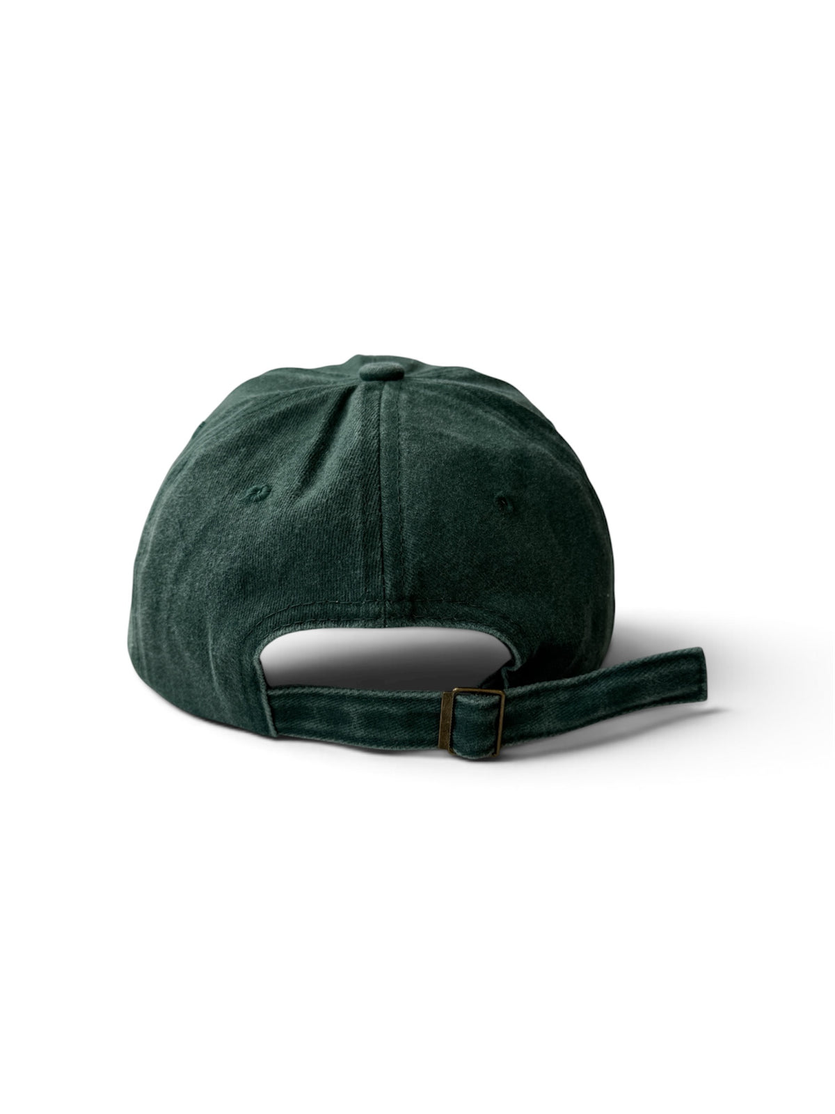 Paw Washed Cotton Cap — Green and Gold — photo 6