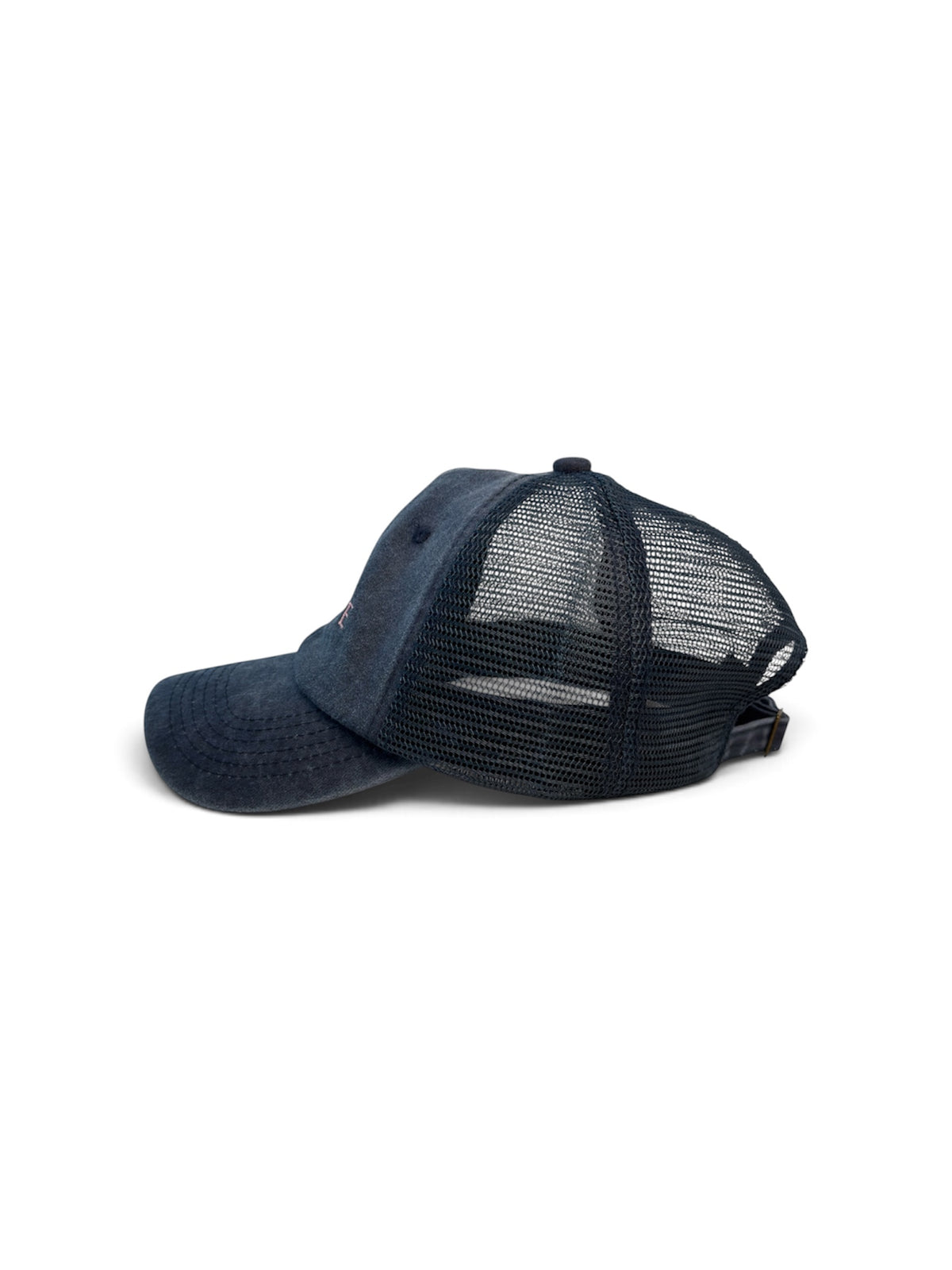 WE OUTSIDE Washed Mesh Cap — Blue and Pink — photo 5