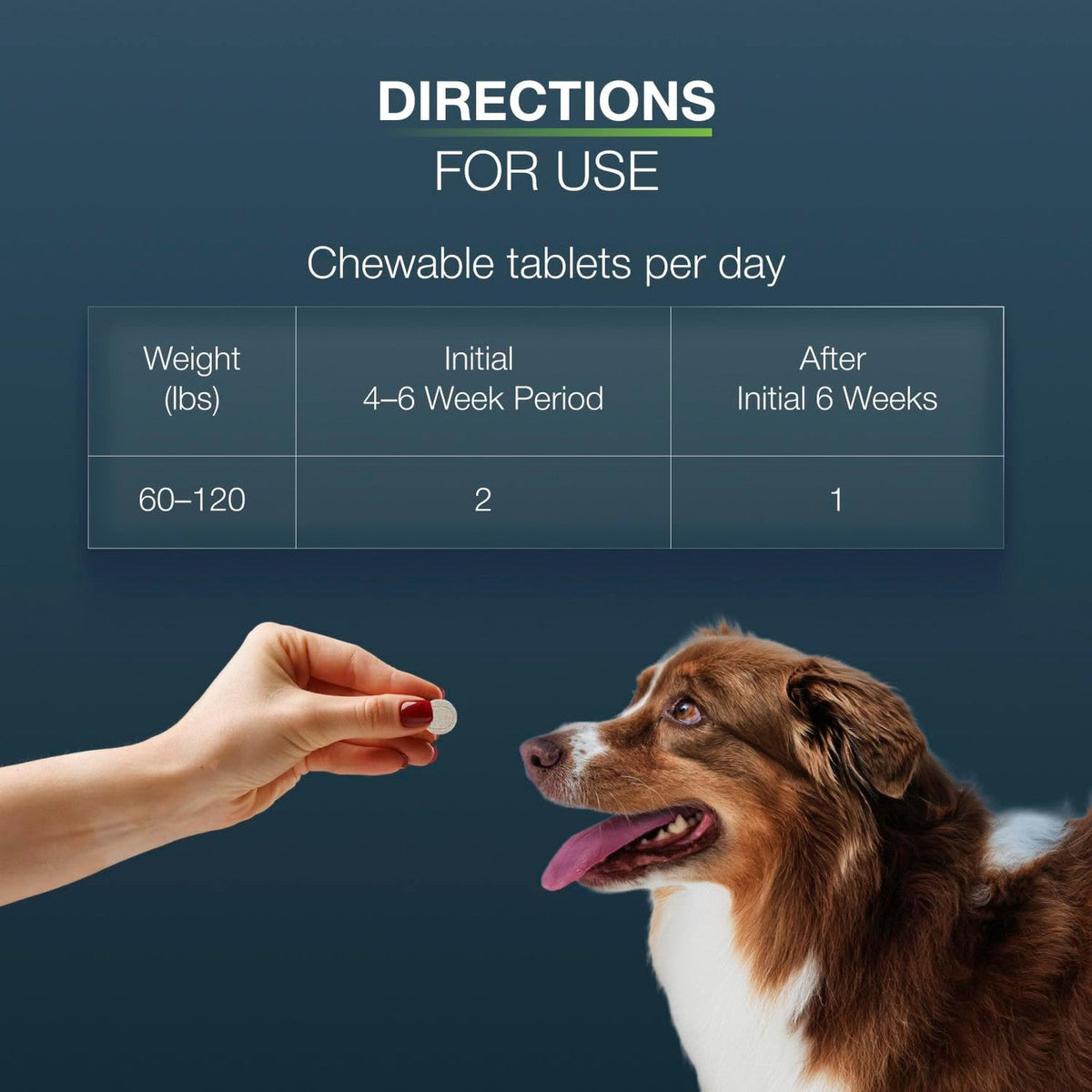 Nutramax Dasuquin for Large Dogs, 84 ct