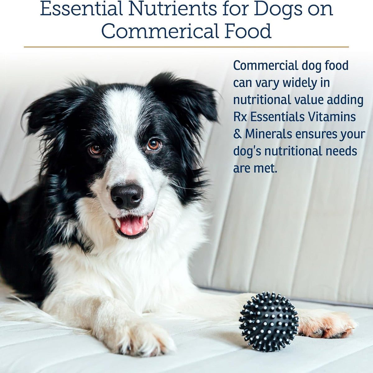 Rx Vitamins Essentials for Dogs, 8 oz