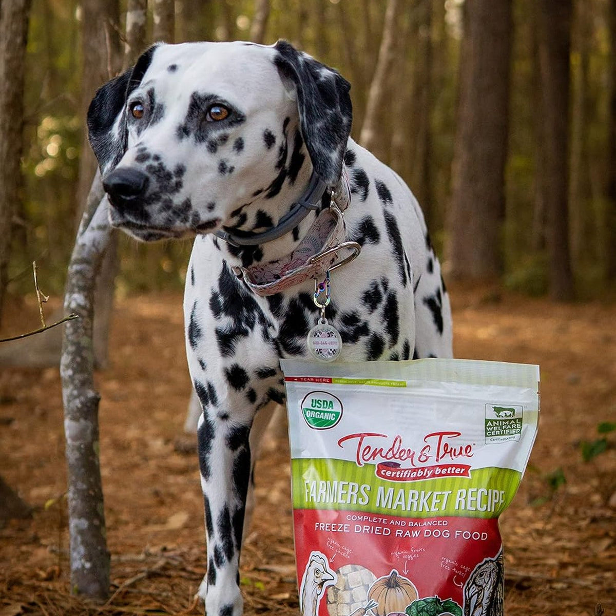 Tender and True Freeze-Dried Raw, 1 lb