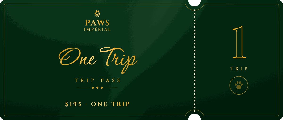 1 trip pass