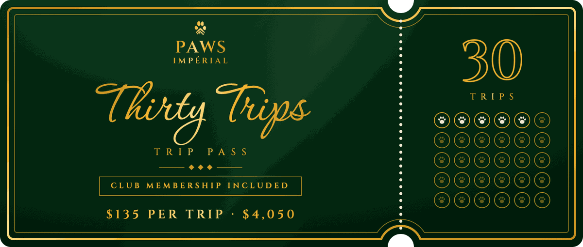 30 trip pass